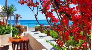 Seaside Studios Lasithi Greece