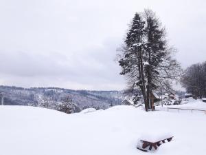 Apartament z kominkiem i wanną