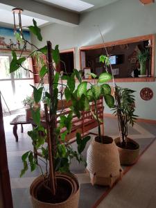 HOTEL IVATO , Airport