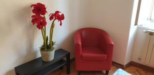 FLOWERS HOUSE - LA CASA DEI FIORI