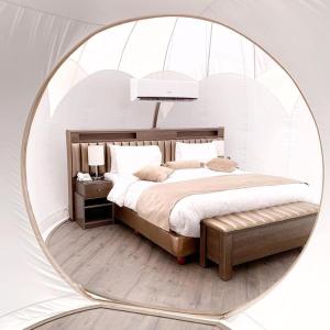 Wadi Rum Bubble Luxotel