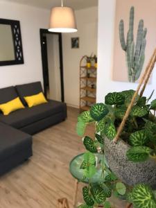 Cactus 2 bedroom Apartment on Calle San Miguel Minutes from the beach BY NAMASTE ELITE
