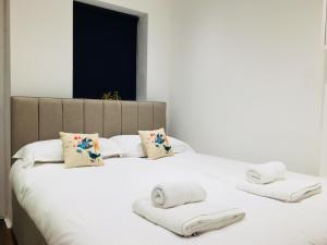 Fountain View 1BR Flat Oxford - Free Parking