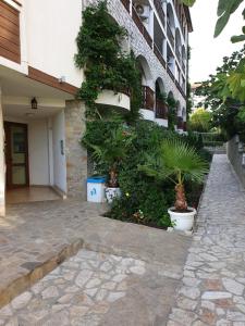 FREGATA 16 Studio Sveti Vlas