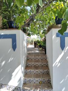 La Noguera de Baena