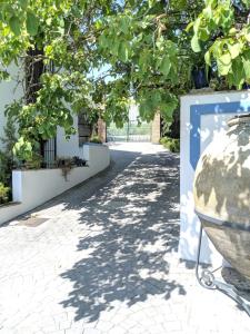 La Noguera de Baena