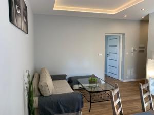 Grey apartment 50 m2