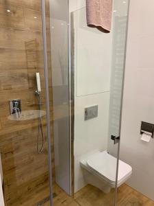 Grey apartment 50 m2