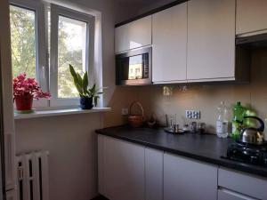 Mieszkanie Nad Sanem