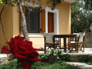 Lysistrata Bungalows Thassos Greece