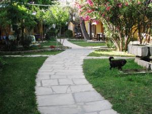 Lysistrata Bungalows Thassos Greece