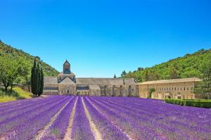 Hotels Mercure Cavaillon : photos des chambres