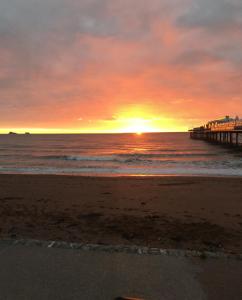 Aquamarina Christmas Illuminations, Decorate your own Christmas Tree