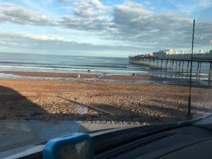 Aquamarina Christmas Illuminations, Decorate your own Christmas Tree