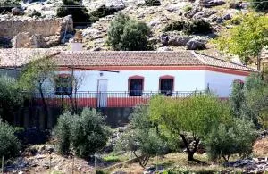 El Almendro de Fuentes Nuevas - Castril