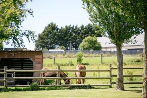 Campings Camping Saint Michel : photos des chambres