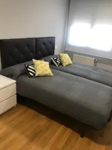 Bonito piso zona hospital con garaje - Lugones