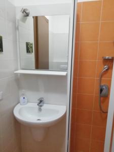Double or Twin Room with Private Bathroom