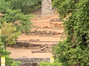 Apartamento vista frontal zoo