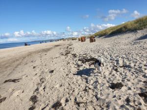 Apartament Ostsee, Strand & Me(e)hr erleben, Speziell für Familien, Fe/wo "Sunny" am Bodden/Fischland/Ribnitz Ribnitz-Damgarten Niemcy