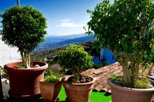 Finca Casa Madera 1