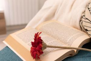 AT THE HEART OF BILBAO - Guggenheim