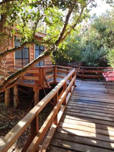 Chiloe Domos Curaco de Vélez