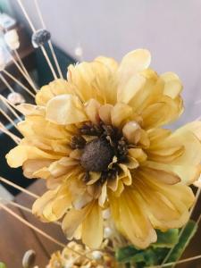 Charming Rooms Opuntia img17