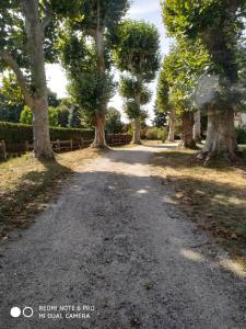 Maisons d'hotes Au Cocon de Sologne : photos des chambres