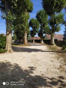 Maisons d'hotes Au Cocon de Sologne : photos des chambres