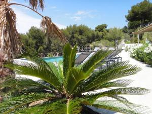 Maisons de vacances Home Cassis - Maison Mediterranee - Piscine chauffee a 30c : photos des chambres
