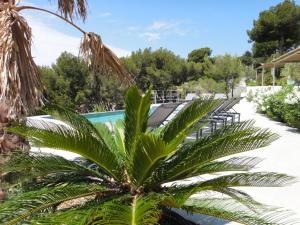 Maisons de vacances Home Cassis - Maison Mediterranee - Piscine chauffee : photos des chambres