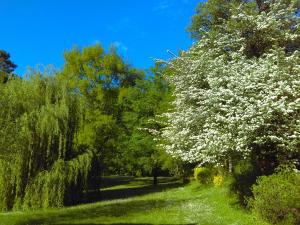 Maisons de vacances Moulin de Saint Cricq : photos des chambres