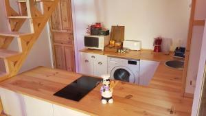 Estudio Camino de Santiago