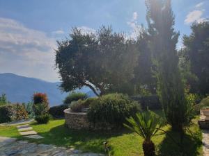 Villas maison de charme avec piscine et vue exceptionnelle : photos des chambres