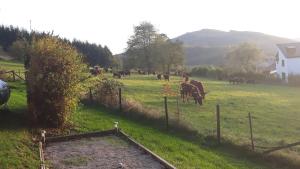 Le chalet de Roanne-Coo