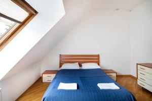 Old Riga Two floor Palasta Loft Apartment with river view