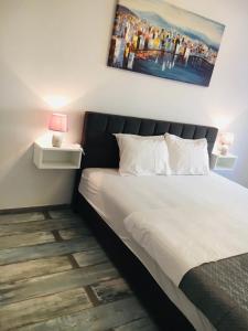 Luxury Sky Aurora Borealis Rijeka