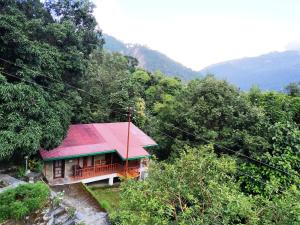 Silent Valley- Alchauna along river Kalsa