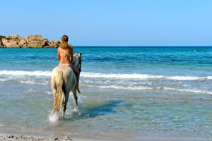 Villas Residence de Tourisme Mare e Macchia : photos des chambres