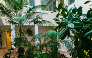 Luna - 3hvězdičkové hotely ve městě Nałęczów