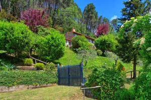 Villa with Private Pool room in Casale di Cozzile