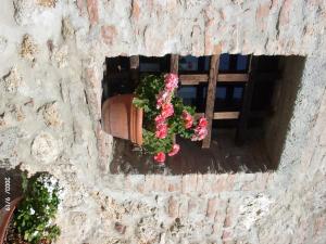 Agriturismo San Giovanni