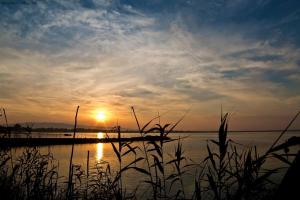 casa Agrifoglio img45