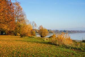 Wohnoffice mit Übernachtungsmöglichkeit Residenz Fischbach KIBA