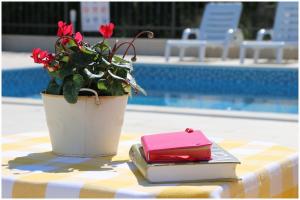 Apartment Katarina and house Marieta