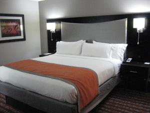 obrázek - Holiday Inn Express & Suites Nashville Southeast - Antioch, an IHG Hotel