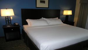 King Room room in Holiday Inn Express & Suites Belle Vernon an IHG Hotel