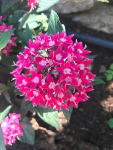 Liznjan - Blue Gate Manor