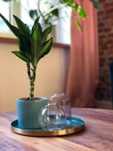 Apartament stare miasto